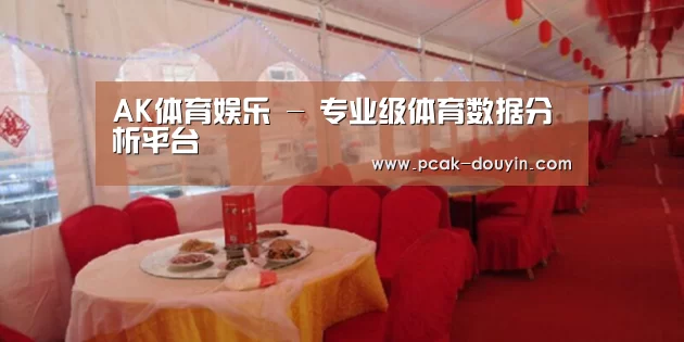 案例标题二