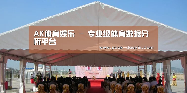 案例标题三