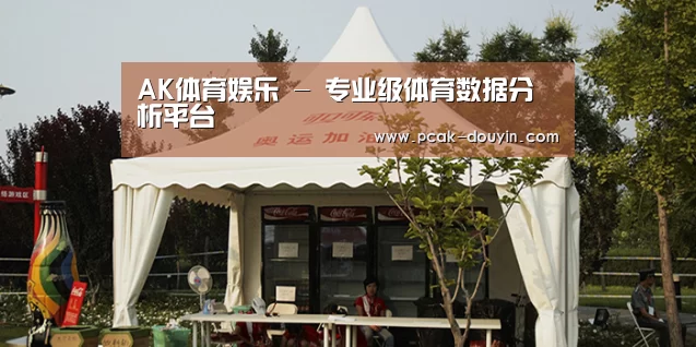 案例标题五