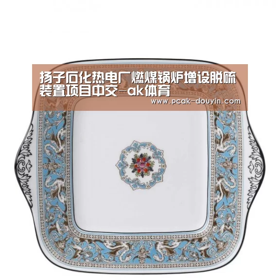 扬子石化热电厂燃煤锅炉增设脱硫装置项目中交-ak体育(图1) 关于我们