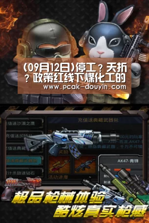  体育数据平台