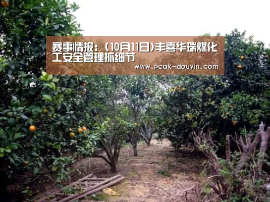  数据驱动