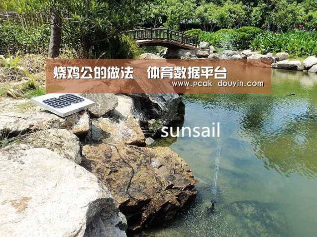 烧鸡公的做法_ 体育数据平台(图1) ak体育