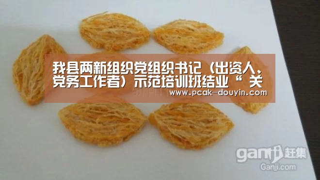 我县两新组织党组织书记(出资人、党务工作者)示范培训班结业“ 关于我们”(图2) 关于我们