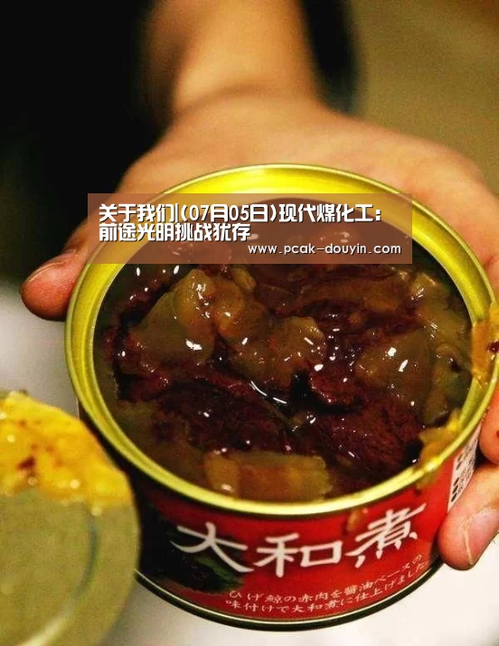 关于我们|(07月05日)现代煤化工:前途光明挑战犹存(图1) ak体育