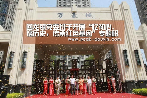 回龙镇党委班子开展“忆初心、铭历史,传承红色基因”专题研讨- 品牌故事(图1) 品牌故事