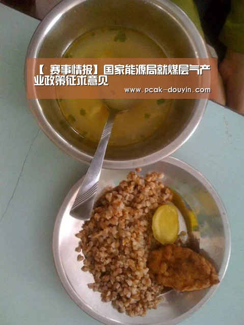 【 赛事情报】国家能源局就煤层气产业政策征求意见(图1) 数据驱动
